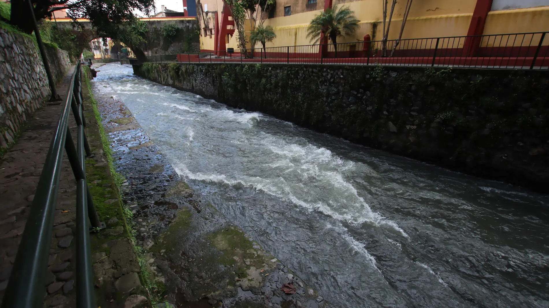 Río Orizaba Ricardo Martínez